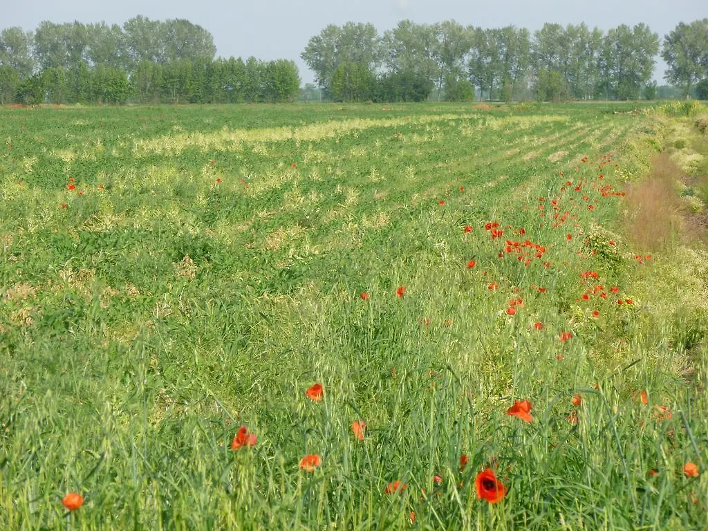 Agriturismo Corte Rocca San Giorgio di Mantova Italië